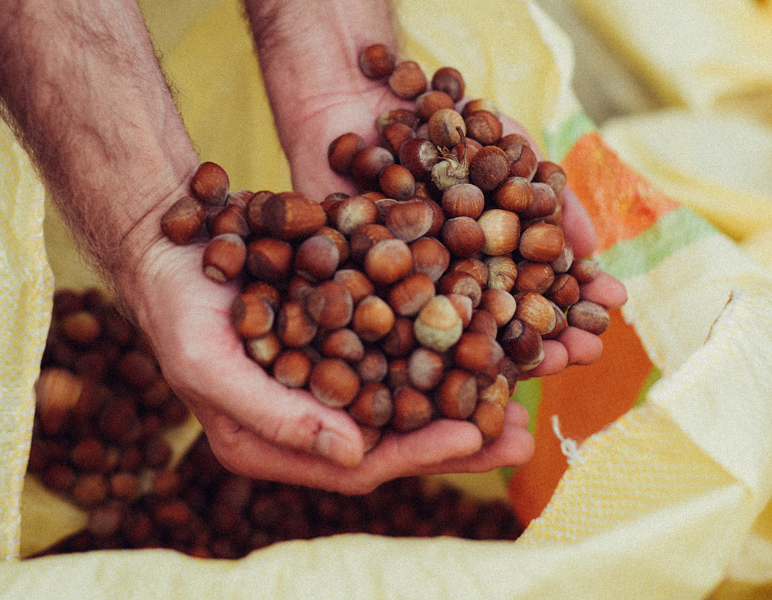 Benefits Of Hazelnut Oil For Your Hair Skin Adem