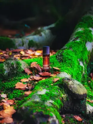 Pure Hazelnut Oil Hair & Body